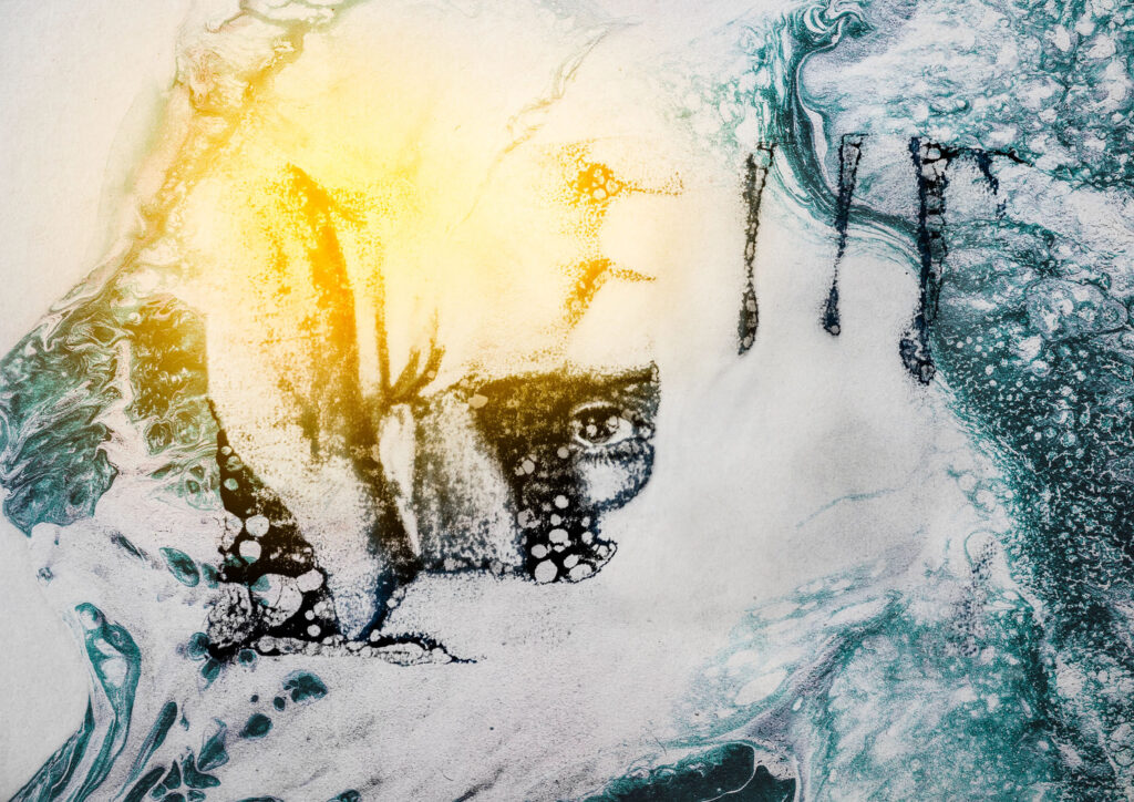 nico lopez bruchi ricerca